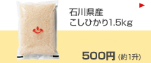 石川県産こしひかり